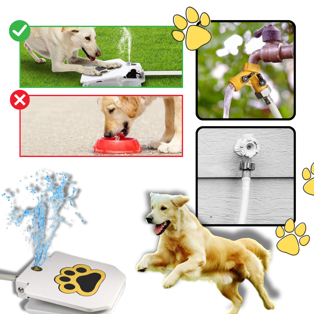 Paw Activated Dog Water Fountain - Ozerty